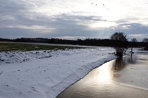 Ein sonniger Wintertag an der Ems