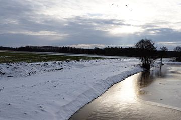 A sunny winter's day on the Ems by Bianca Meyering Fotos - BMF