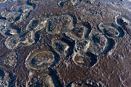 Close-up van een golfbreker op het eiland Texel by Evert Jan Luchies