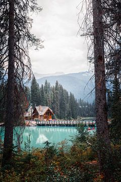 Uitzicht op Emerald Lake Lodge | British Colombia | Canada | reisfotografie van Laura Dijkslag
