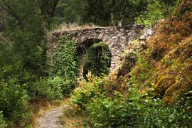 Das alte Burgtor 1 von Jörg Hausmann