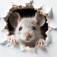 Muis uit de muur