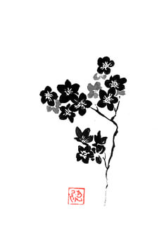 sakura