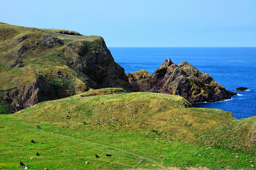 St Abb's Head van Gisela Scheffbuch