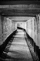 Torii gate in Fushimi Inari