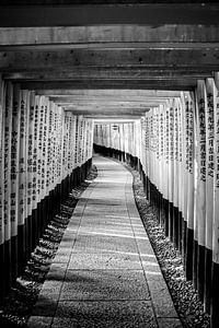Torii gate in Fushimi Inari van Mickéle Godderis