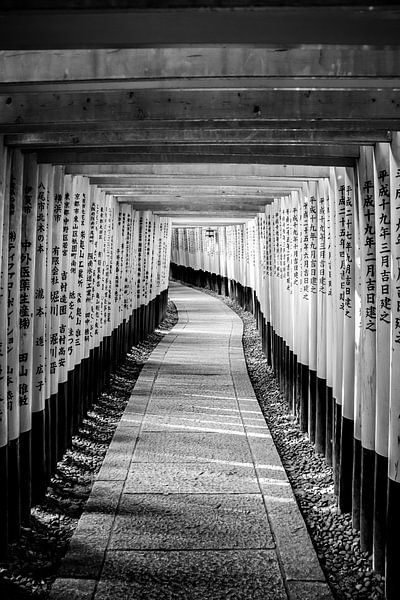 Torii gate in Fushimi Inari by Mickéle Godderis