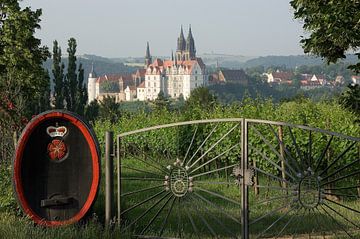 Weinanbaugebiet Meißen in Sachsen von Jörg B. Schubert