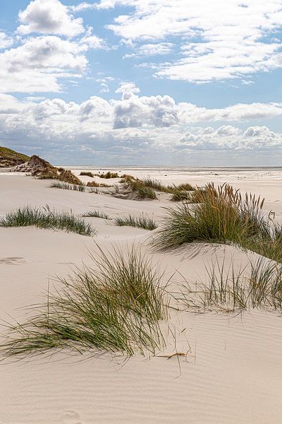 Plage d'Amrum par Thomas Heitz