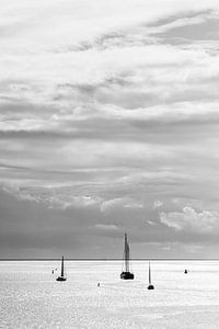 Wadden Sea by Damien Franscoise