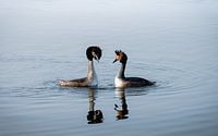 Futen paar op het water