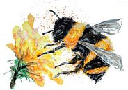 Fat bumblebee collects pollen by Sebastian Grafmann thumbnail