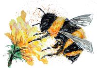 Un gros bourdon récolte du pollen