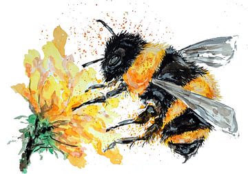 Un gros bourdon récolte du pollen sur Sebastian Grafmann