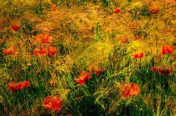 Multiple exposure poppies in corn field by Dieter Walther
