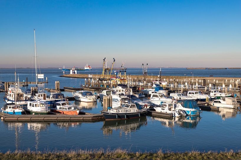 Haven Terneuzen par Elly Damen