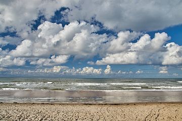 Beach Texel by Ad Jekel