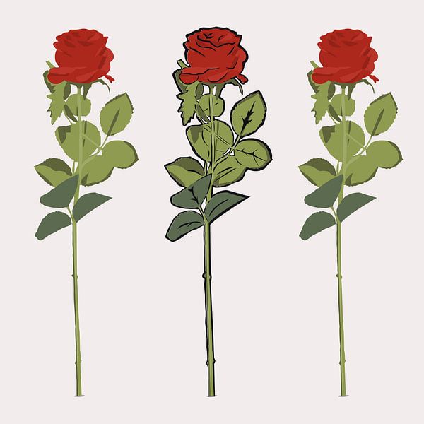 Roses by Robbin Bijl