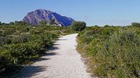 Groene zone bij Cap de Sant Antoni bij Denia met zicht op het Montgo massief van Gert Bunt thumbnail