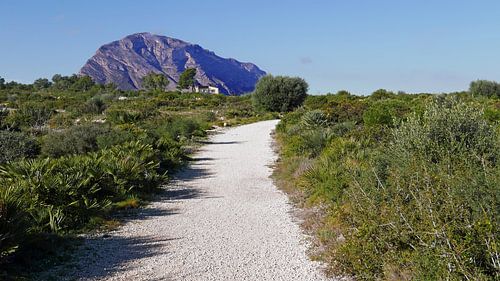 Grünzone am Cap de Sant Antoni bei Denia mit Blick auf das Montgo-Massiv