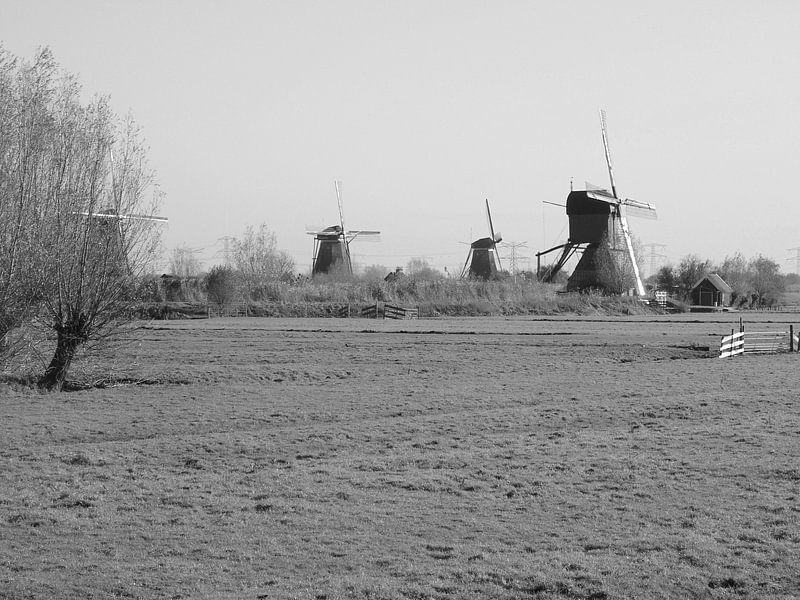 Mills by Koos Iperen