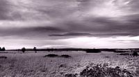 Countryside Hautes des Fagnes