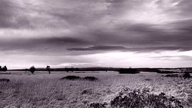 Countryside Hautes des Fagnes von Twan van G.