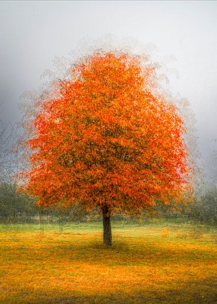 Herbst zum Quadrat von Peter Smeekens