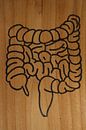 Intestines (1/3) by hou2use thumbnail