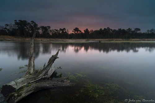 Lever de soleil à Kampina sur Jules van Rosmalen