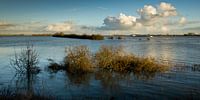 Hoog water in de Waal. van René Weijers thumbnail