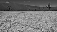 Zwart-wit foto van de opgedroogde grond in de Sossuvlei met dode bomen van Timon Schneider thumbnail