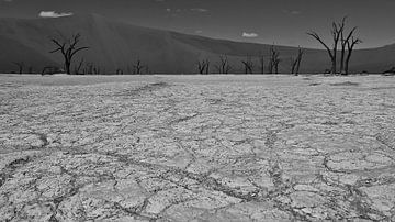 Zwart-wit foto van de opgedroogde grond in de Sossuvlei met dode bomen van Timon Schneider