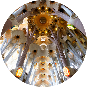 Sagrada Familia in Barcelona van Truus Nijland
