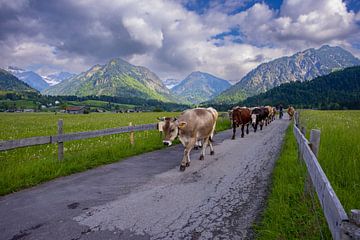 Allgäu schoonheden van Walter G. Allgöwer