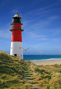 Der Weg zum Leuchtturm