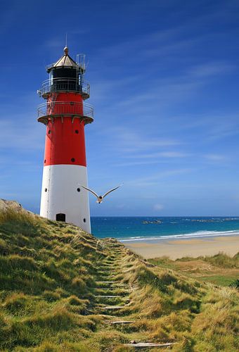 La route vers le phare