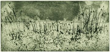Meadow ground, etching by Helga Pohlen - ThingArt