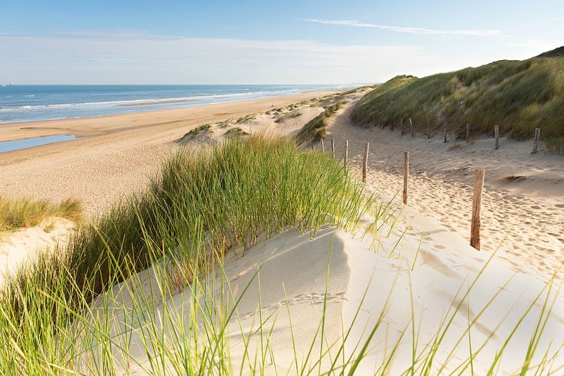 De Hollandse duinen van Monique van Genderen (in2pictures.nl fotografie)