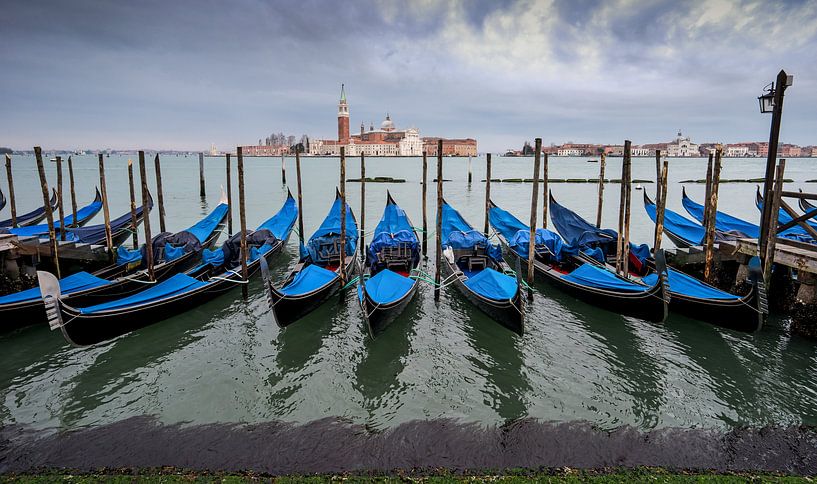 blue gondolas at the san marco square venetia by Ed Dorrestein