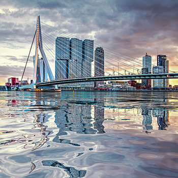Wasser Reflexion Erasmusbrucke Rotterdam