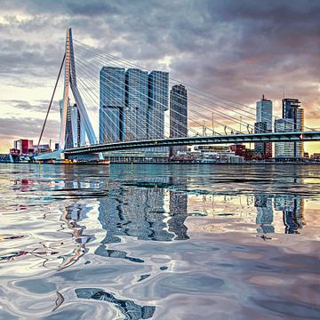 Water reflection Erasmus Bridge Rotterdam
