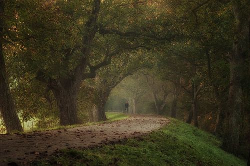 Fietser op de Notendijk Marienwaerdt