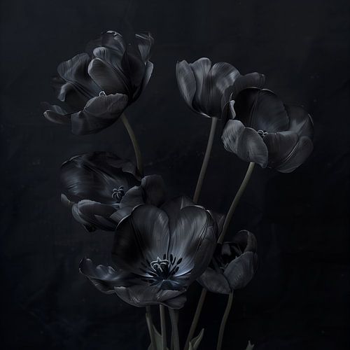 Zwarte tulpen