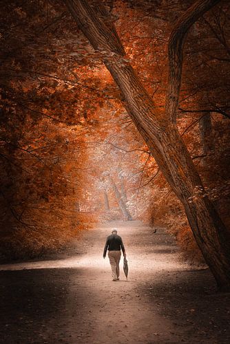 Autumn walk