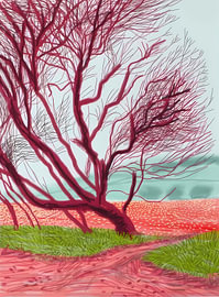 Purpurrote Windbäume von Chromapetal