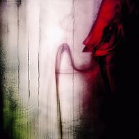 Between Fire and Shadow