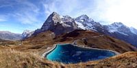 Gezicht op de noordkant van de Eiger