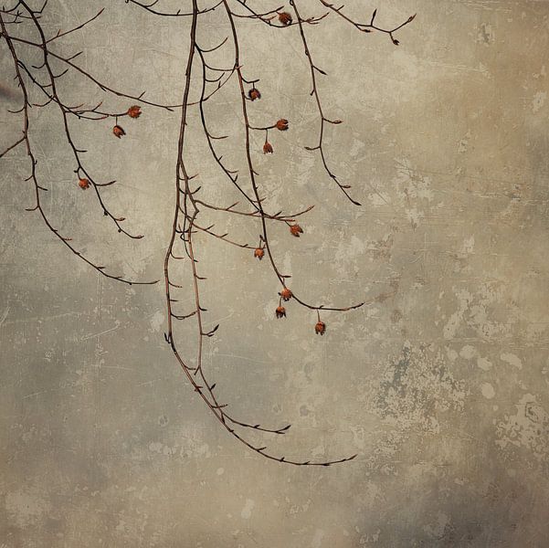 Let go by Anneliese Grünwald-Märkl