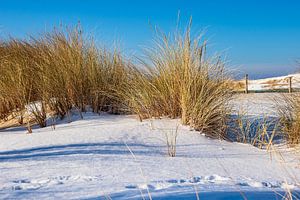 Düne an der Ostseeküste in Warnemünde im Winter